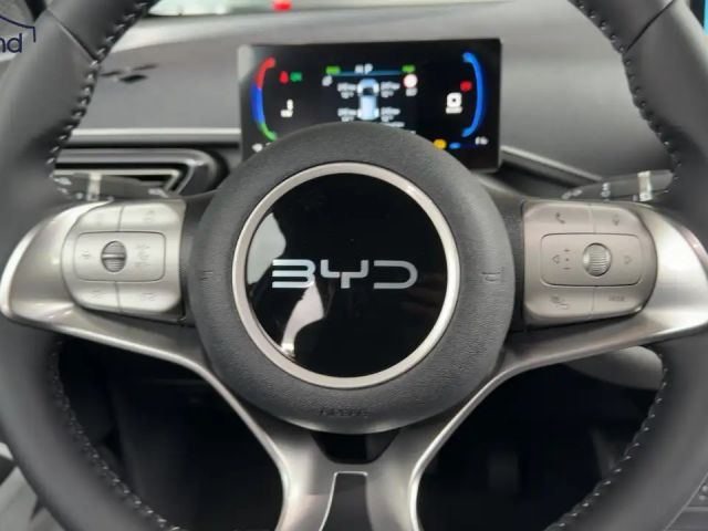 BYD Dolphin Surf