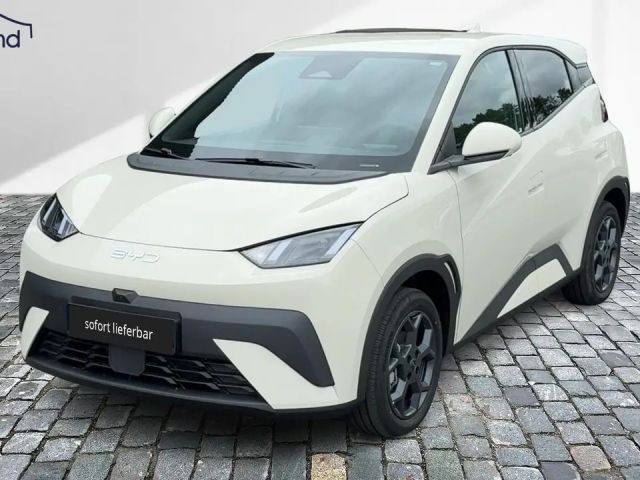 BYD Dolphin Surf