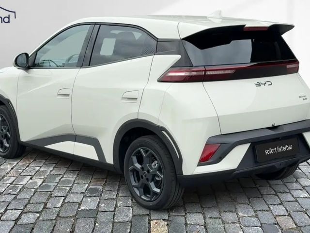 BYD Dolphin Surf