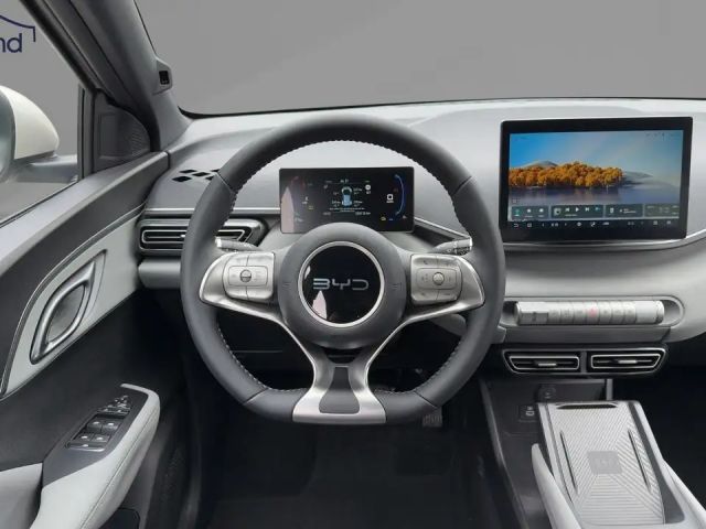 BYD Dolphin Surf