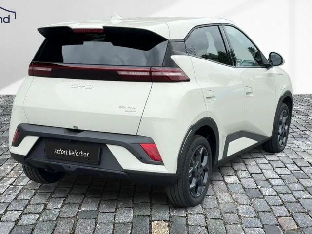 BYD Dolphin Surf