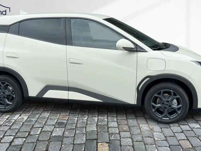 BYD Dolphin Surf