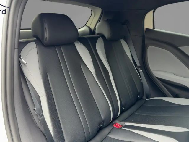 BYD Dolphin Surf
