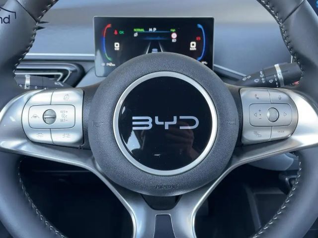 BYD Dolphin Surf