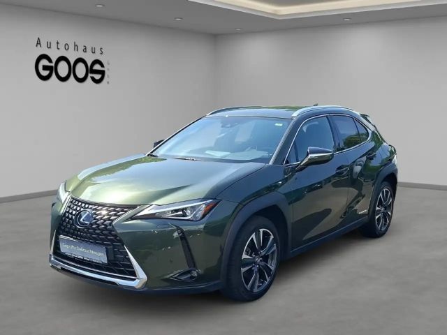 Lexus UX 250h LED ACC Apple CarPlay Android Auto Fahrerprofil Mu 2023 Hybride / Benzine