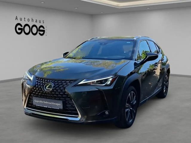 Lexus UX 250h Style Edition Navi LED ACC Apple CarPlay Android A 2022 Hybride / Benzine