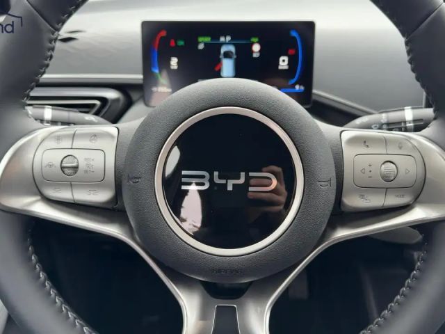 BYD Dolphin Surf
