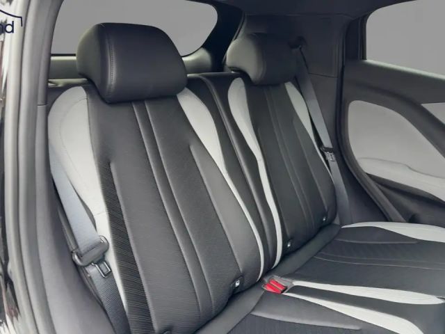 BYD Dolphin Surf
