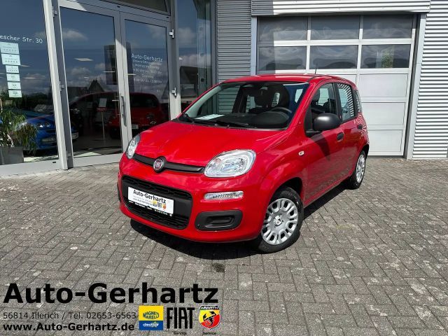 Fiat Pandina