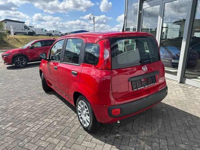 Fiat Pandina