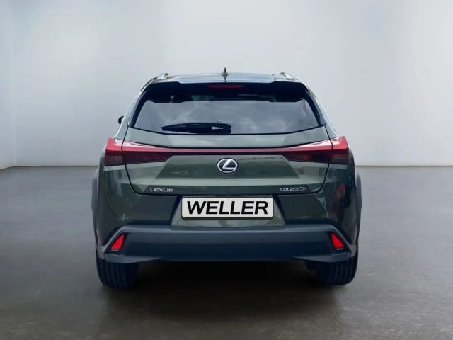 Lexus UX 250h