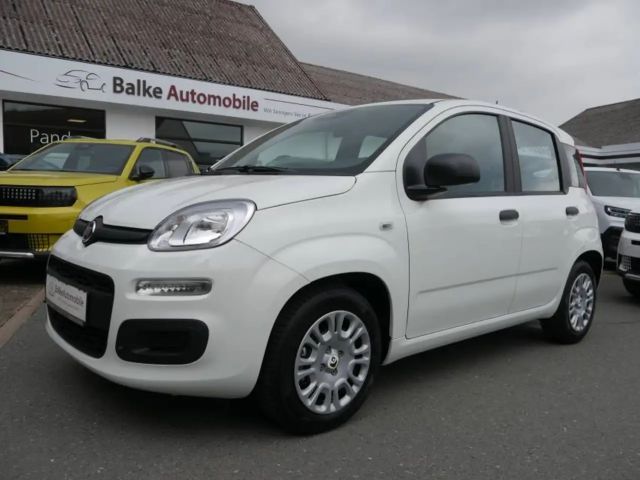 Fiat Pandina
