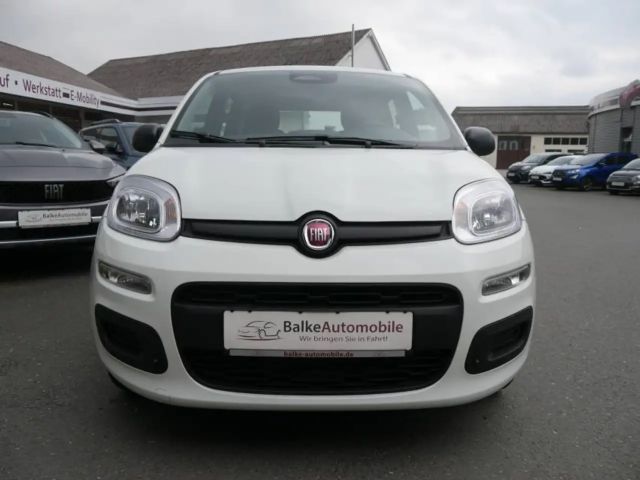 Fiat Pandina