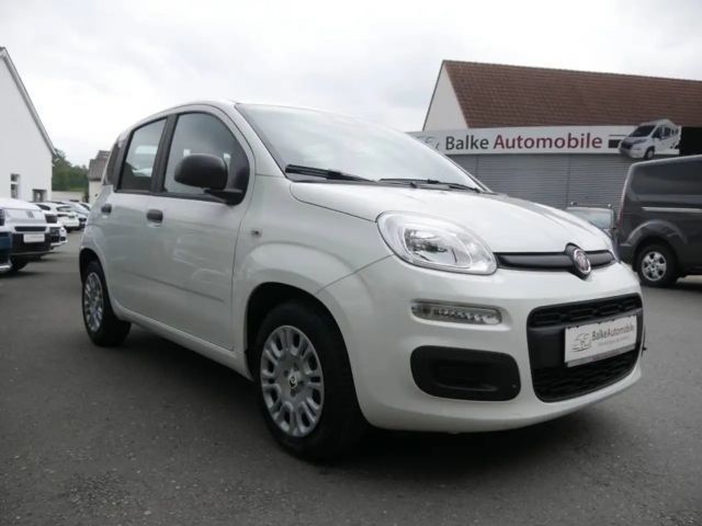 Fiat Pandina