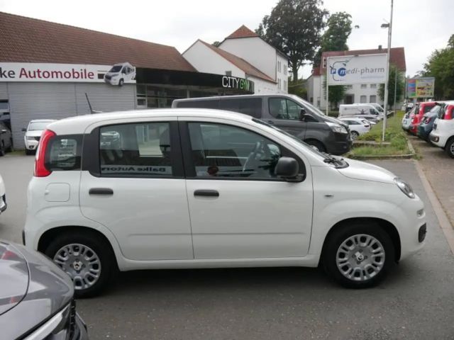 Fiat Pandina