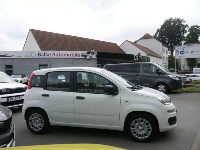 Fiat Pandina