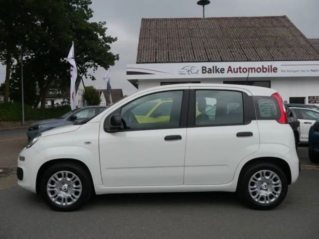 Fiat Pandina