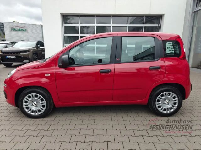 Fiat New Panda