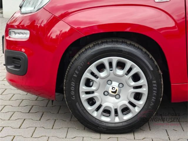 Fiat New Panda