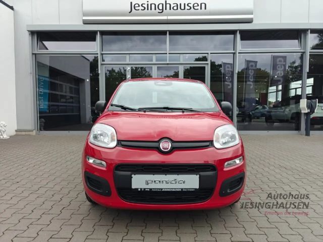 Fiat New Panda