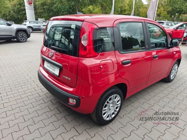 Fiat New Panda