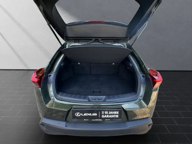 Lexus UX 250h