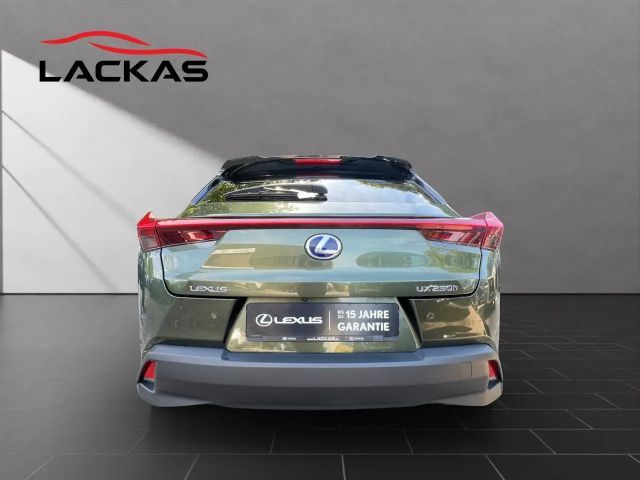 Lexus UX 250h