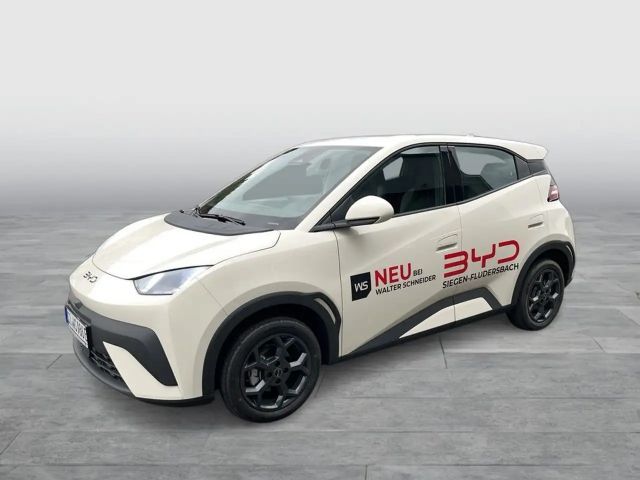 BYD Dolphin Surf