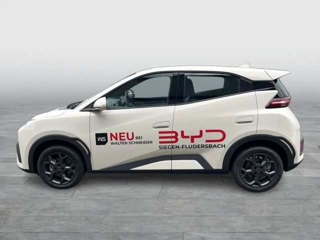 BYD Dolphin Surf