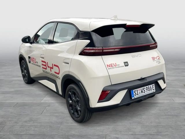 BYD Dolphin Surf