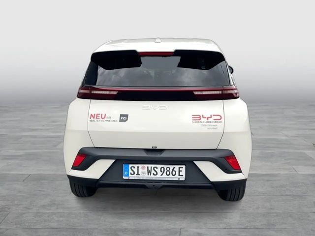 BYD Dolphin Surf