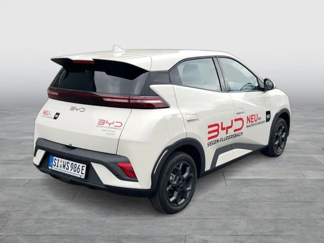 BYD Dolphin Surf