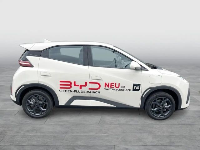 BYD Dolphin Surf