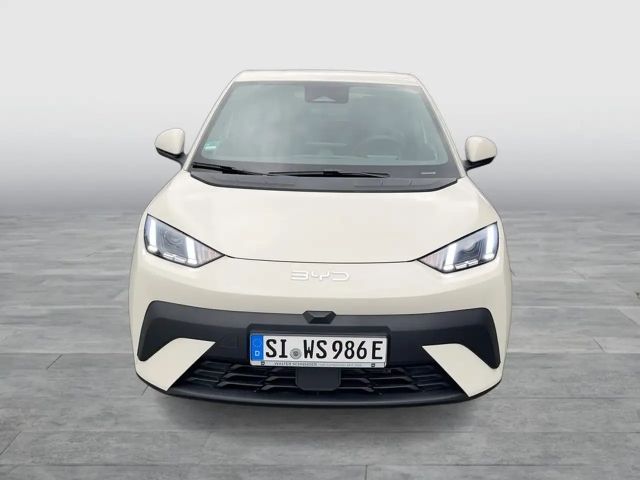 BYD Dolphin Surf