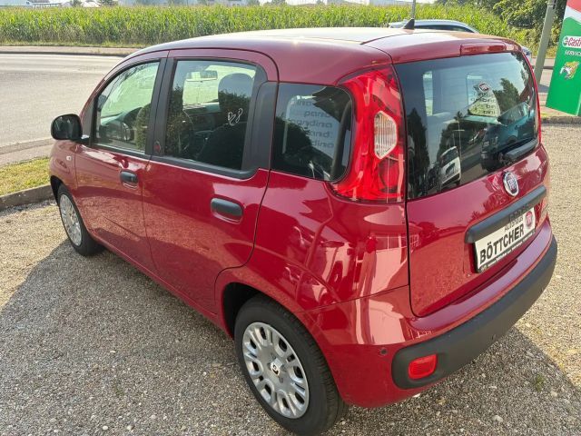 Fiat Pandina