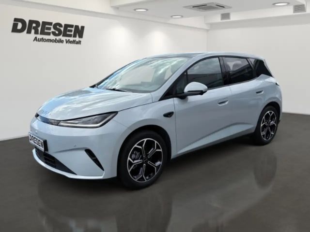 BYD Dolphin G