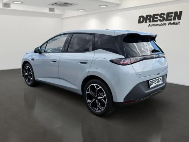 BYD Dolphin G