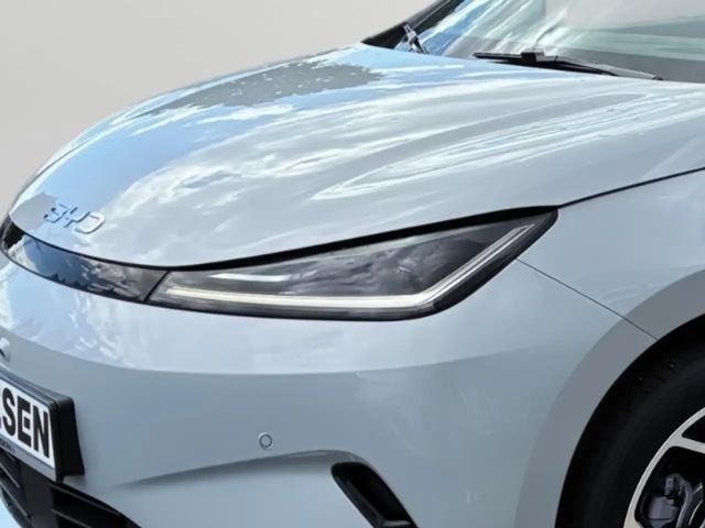 BYD Dolphin G