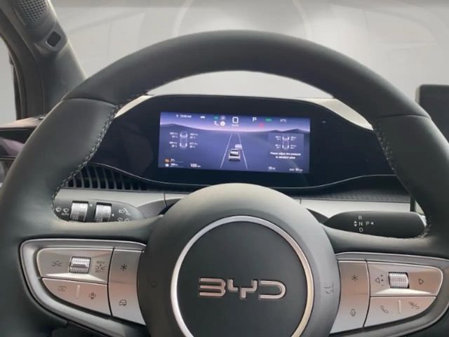 BYD Dolphin G