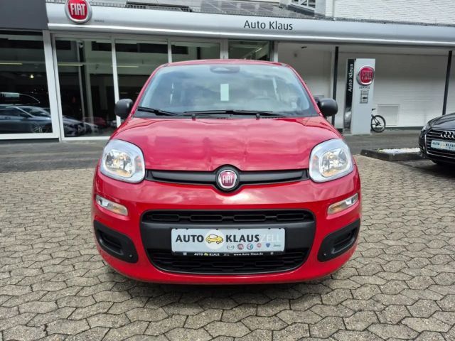 Fiat New Panda