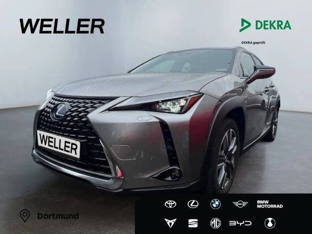Lexus UX 300e Luxury Paket *Matrix*360°*GSD*Leder*HUD* 2021 Elektrisch