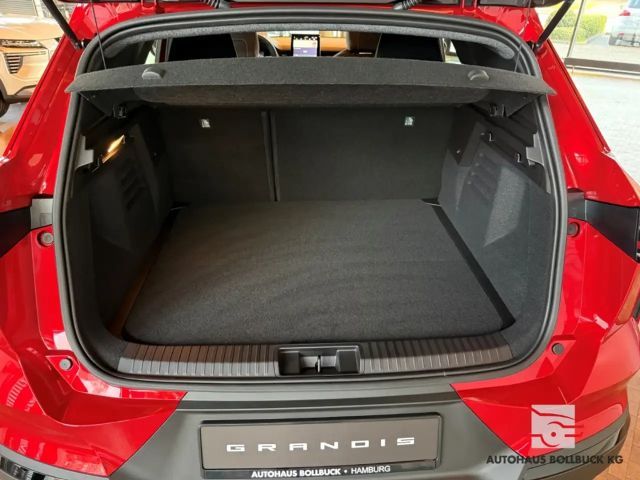 Mitsubishi Grandis