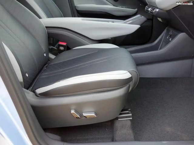 BYD Dolphin Surf