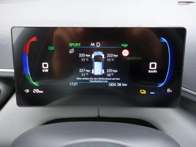 BYD Dolphin Surf