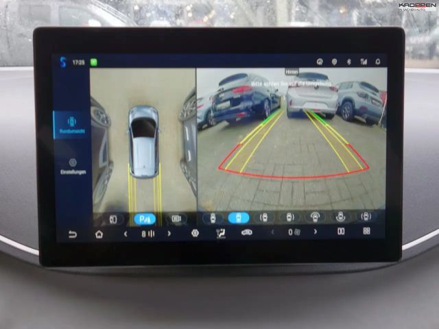 BYD Dolphin Surf