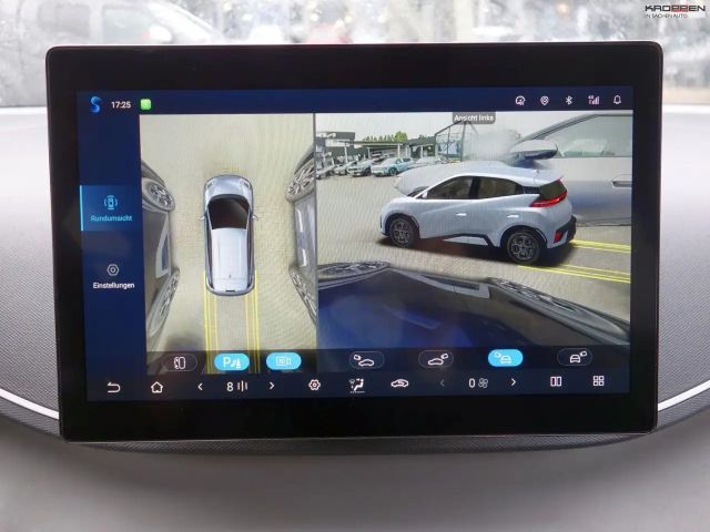 BYD Dolphin Surf