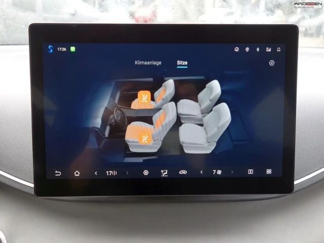 BYD Dolphin Surf