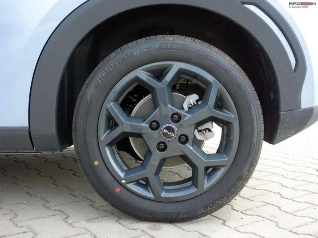 BYD Dolphin Surf