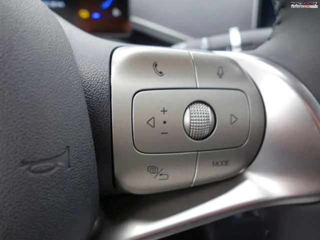 BYD Dolphin Surf