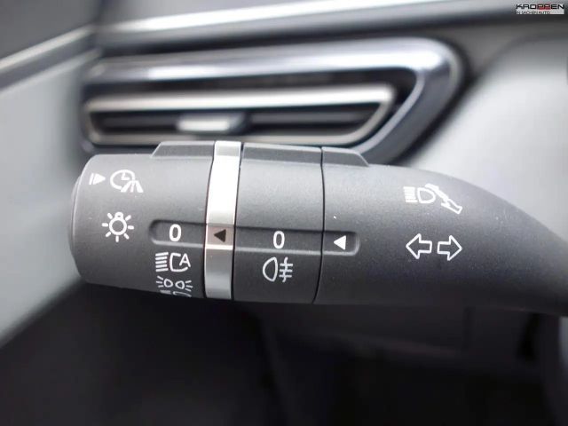 BYD Dolphin Surf